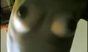 أمي وابنه-انظر- احدث افلام سكس اجنبي