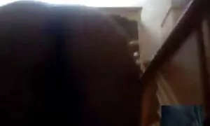 كس أصابع مشاهده افلام سكس اجنبي المريض اصابع الاتهام