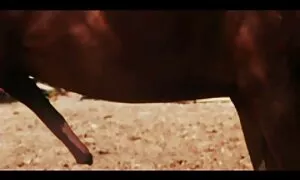 تتبع وبعد تحميل فيديوهات سكس اجنبي ذلك انها القرف.